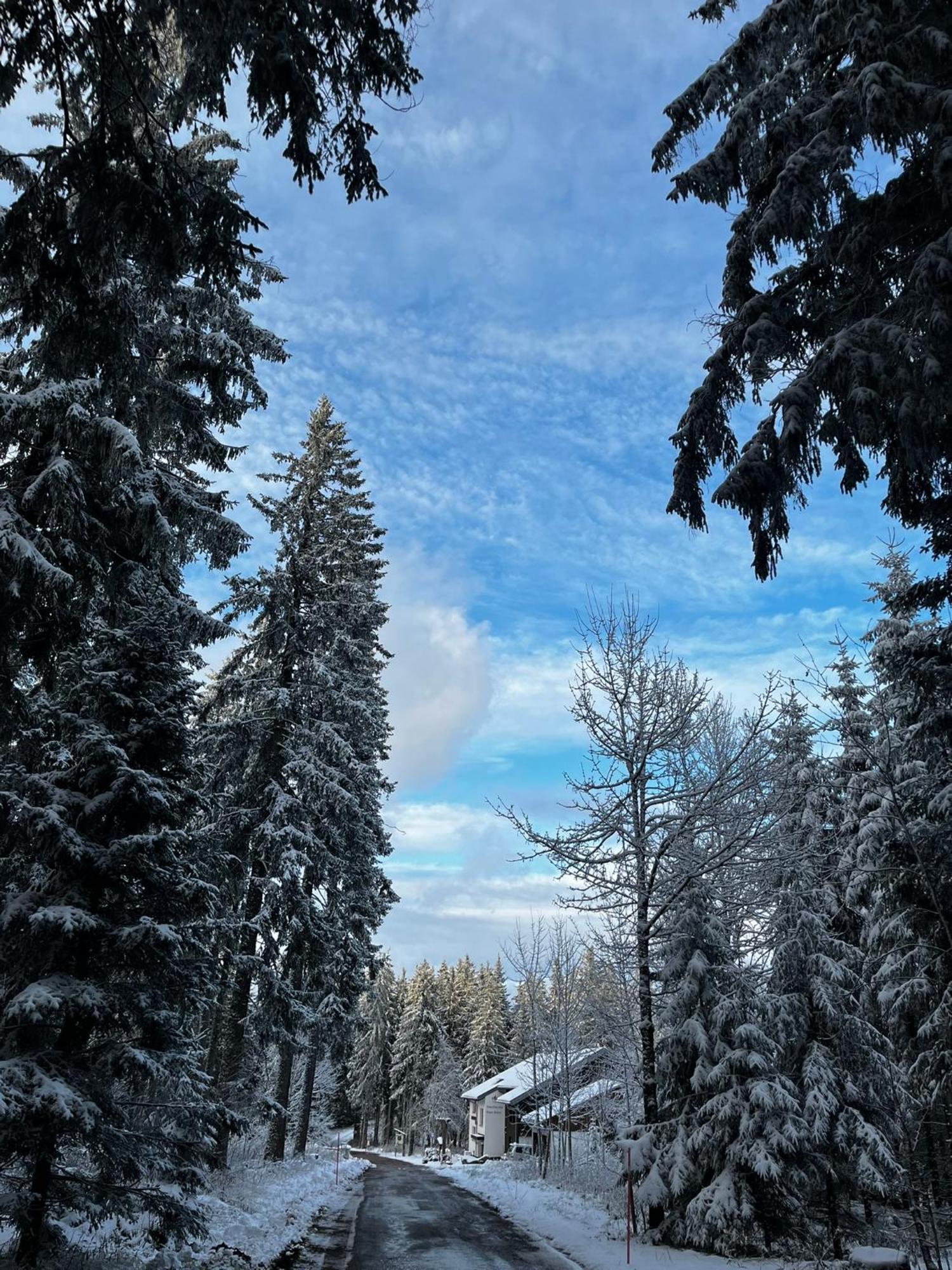 Naturfreundehaus Brend Furtwangen Exterior photo